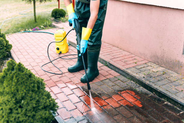 Best Fence Cleaning  in Beach Haven West, NJ